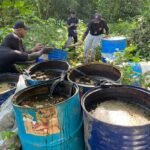 WhatsApp 3 Image 2025-11-28 at 18.35.50