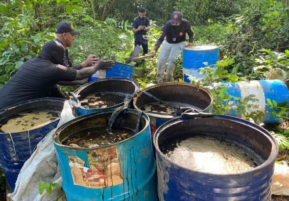 WhatsApp 3 Image 2025-11-28 at 18.35.50