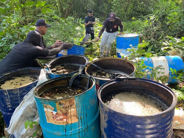 WhatsApp 3 Image 2025-11-28 at 18.35.50