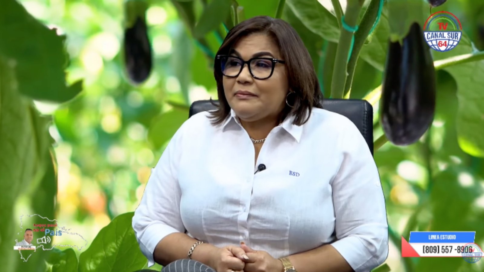 Doctora Emelinda Saldivar